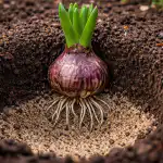 Tajny spisek żarówkowy, czyli dlaczego Twój ogród ignoruje wiosnę tajny-spisek-zarowkowy-czyli-dlaczego-twoj-ogrod-ignoruje-wiosne.png